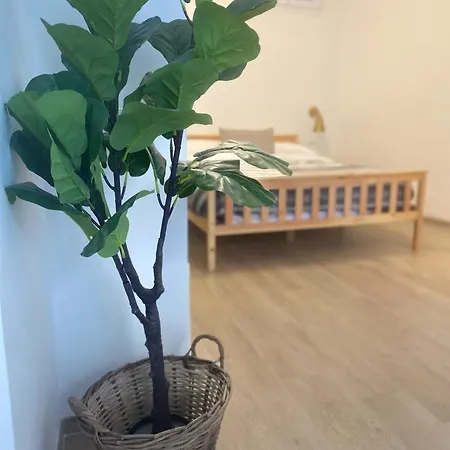 La Fenice Bed & Breakfast 3*